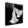 Trademark Fine Art Susan S. Barmon 'Trumpet Flower Black And White' Canvas Art, 24x24 ALI34326-C2424GG